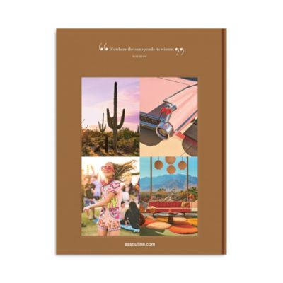 Palm Springs Book