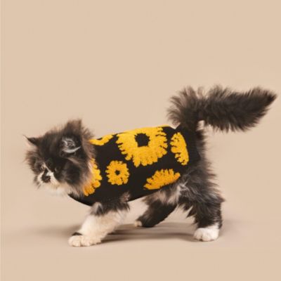 PETITE Shaya Pets Sunflower Embellished
