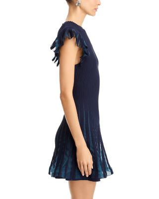 Sheer Flutter Sleeve Knit Dress