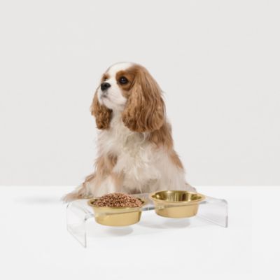 Small Double Bowl Pet Feeder, 1 Pint Bowls