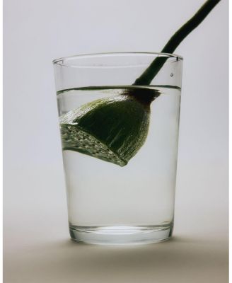 Lotus Gentle Purifying PHA Facial Mist