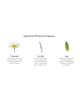 Chamomile Lavender Hand Cream, 12 oz.