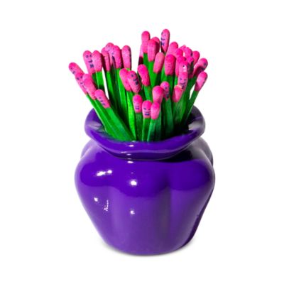 The Match Bouquet Safety Matches and Holder
