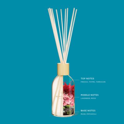 Midnight in Milan Reed Diffuser, 8.4 oz