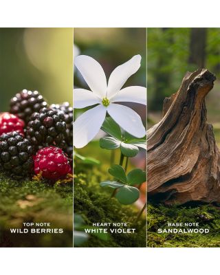 Daisy Eau de Toilette 3.3 oz.