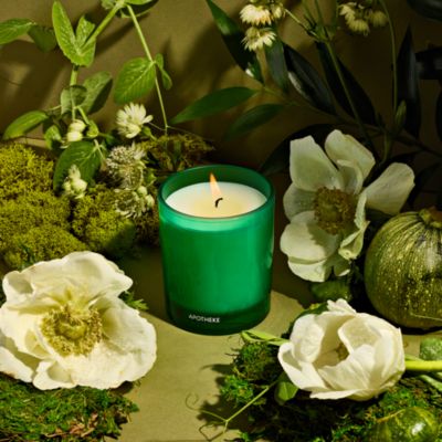 Verdant Garden Petite Scented Candle, 5 oz.