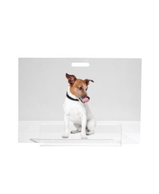 Low Clear Pet Gate Panel
