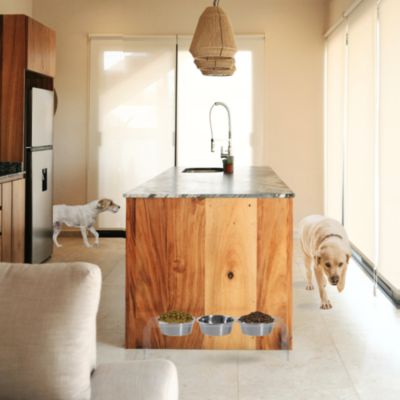 Medium Triple Bowl Pet Feeder, 1 Quart Bowls