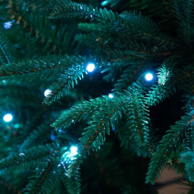 6&#39; Pre Lit Artificial Edmonton Fir Light Show Memory Shape Christmas Tree with Instant Connect Technology and 300 Color Changing LED Lights