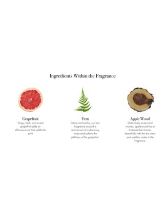 White Grapefruit Signature Candle, 15.5 oz.