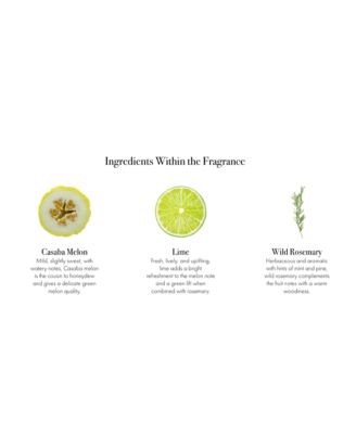 Paloma Melon Signature Candle, 15.5 oz.