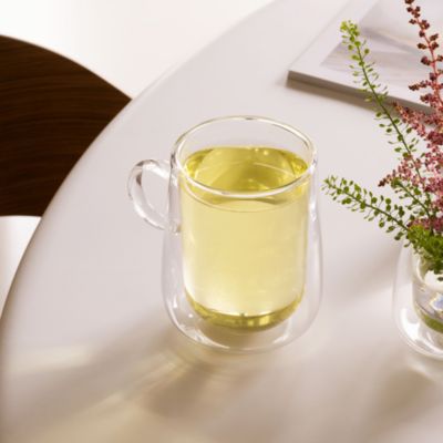 Artesano Hot and Cold Beverages Insulated Large Latte Glass with Handle, Set of 2