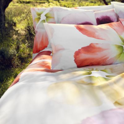 Aurora Blanc Sham, Euro