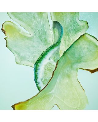 MATIN DE JADE Parfum 2.5 oz.