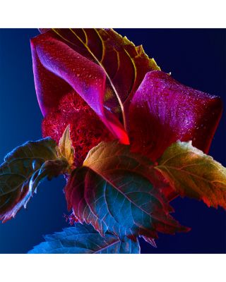 I AM DAY Parfum Miniatures Gift Set 