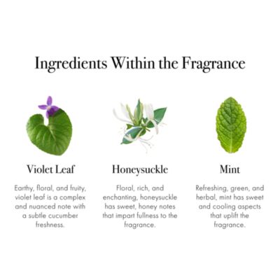 Wild Honeysuckle Classic Reed Diffuser