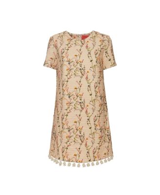 Mini Embroidered Swing Dress
