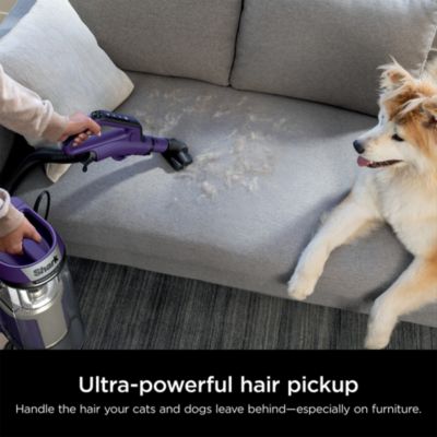 POWERDETECT Upright Bagless Vacuum With Ultimate Cleaning Tools