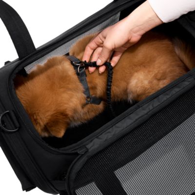 The Pet Carrier