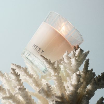 Ocean Mist & Sea Salt Classic Candle, 8.1 oz.