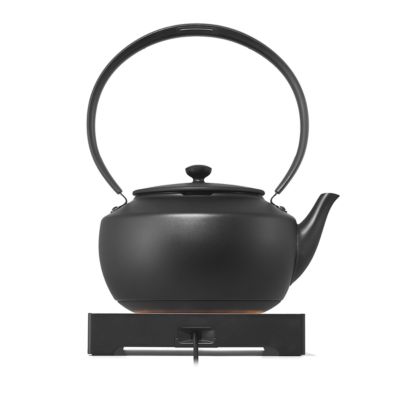 MoonKettle Electric Kettle