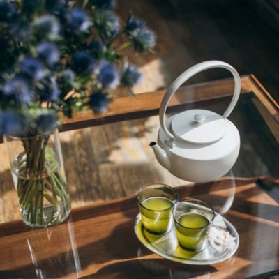 MoonKettle Electric Kettle