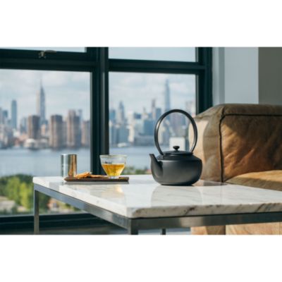 MoonKettle Electric Kettle