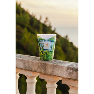 Max 35 Sacred Trees Yarani Candle