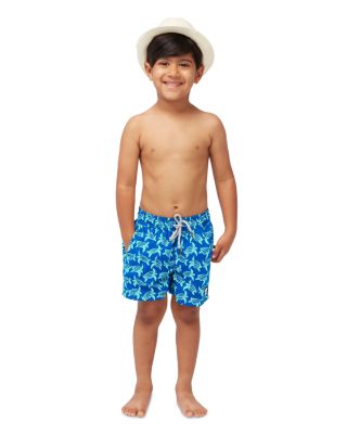 Boys&#39; Turtle Swim Trunks - Little Kid, Big Kid