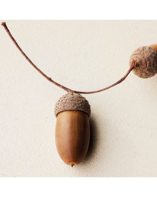 Atelier des Fleurs Ch&ecirc;ne Eau de Parfum 5 oz.