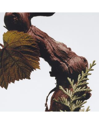 Cypress & Grapevine Classic Candle 7 oz.