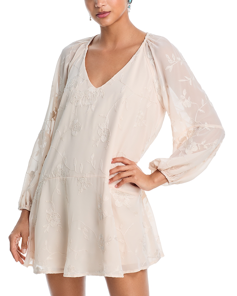 Aqua x Ava Phillippe Embroidered Floral Chiffon Mini Dress - Exclusive