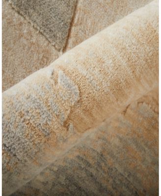 Feizy Jaxson 39PXF Area Rug, 4' x 6'