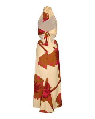 Best of Times Maxi Dress