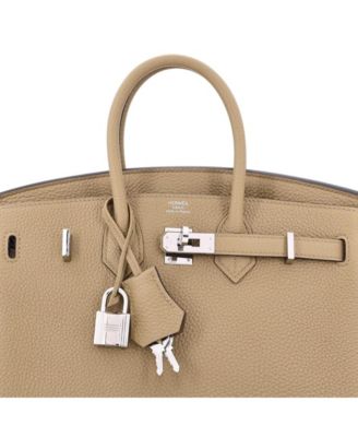 Birkin 25 Handbag Brown Togo with Palladium Hardware
