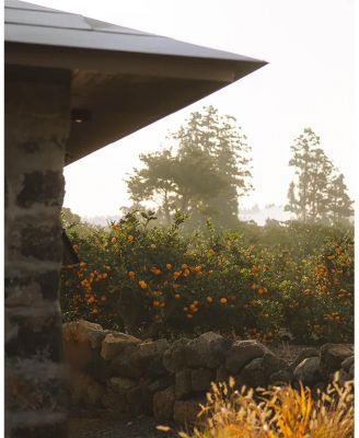 Mandarin Vitamin C5 Dark Spot Serum