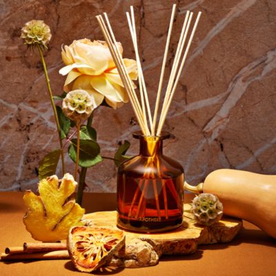 Pumpkin Ginger Reed Diffuser, 6.7 oz.
