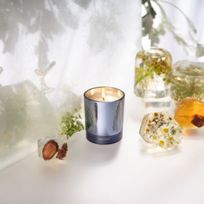 Cardamom Chestnut Petite Scented Candle, 5 oz.