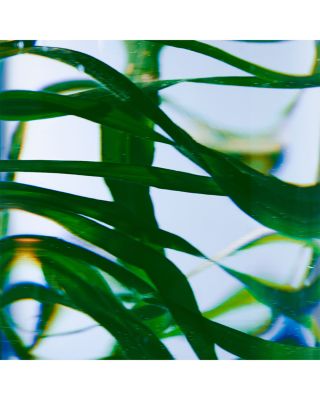 Vetyver Hand Lotion 15.2 oz.