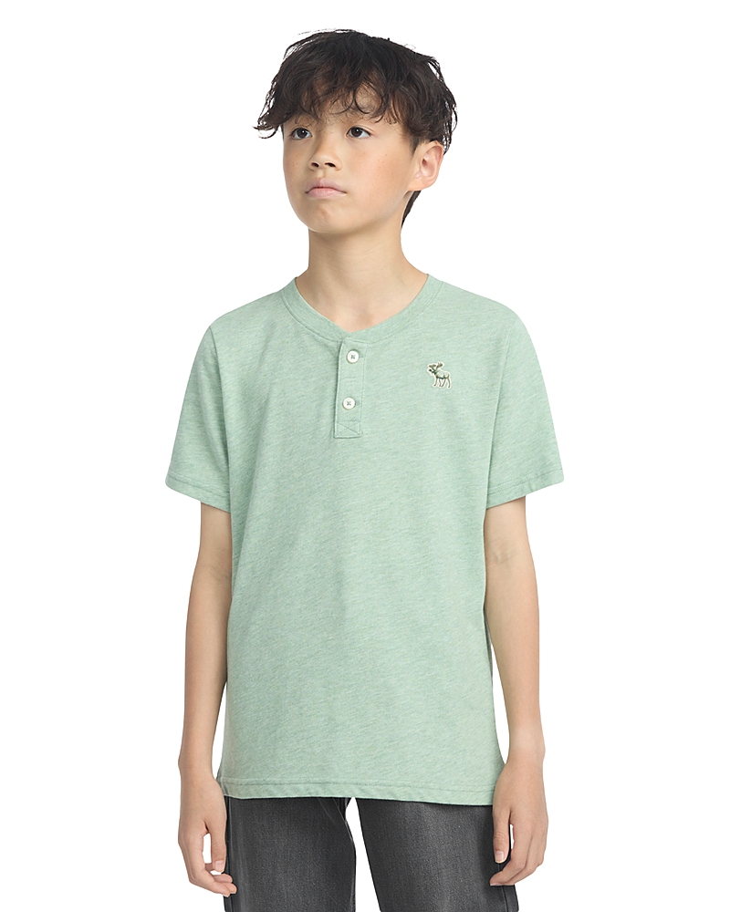 Abercrombie Boys Essential Henley T-shirt In Green