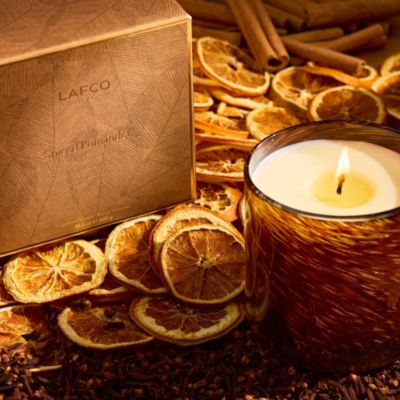 Spiced Pomander Signature Candle, 15.5 oz.
