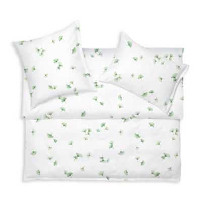 Aiko Blanc Sham, Euro