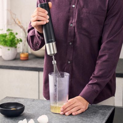 Enfinigy Hand Blender Whisk Attachment