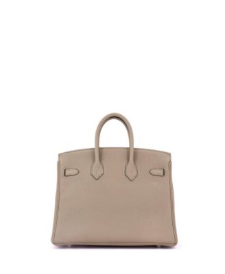  Birkin 25 Handbag Light Togo with Palladium Hardware