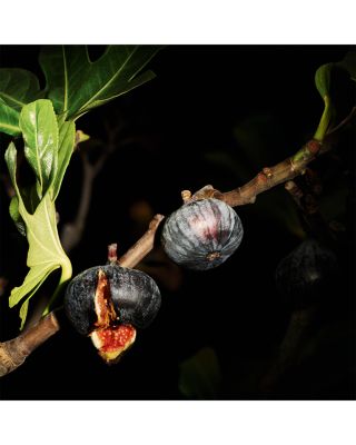 Le Vestiaire des Parfums Lavalli&egrave;re Eau de Parfum 4.2 oz.