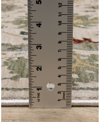 Oriental Weavers Eliana ELI10 Area Rug, 7'10"x10'10"