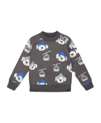 Boys' Fleece Pullover Sweatshirt - Baby
