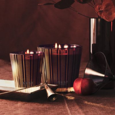 Autumn Plum 3 Wick Candle, 21.1 oz.