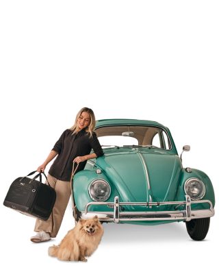 Hendrick Pet Car Seat + Stroller Travel System