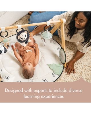 D&eacute;cor Luxe Developmental Gymini